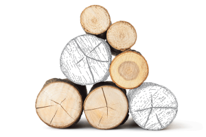 mixedwood logs 675x450 300x200
