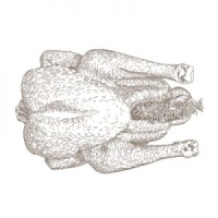 Free Range Bronze Turkey Breast Roast